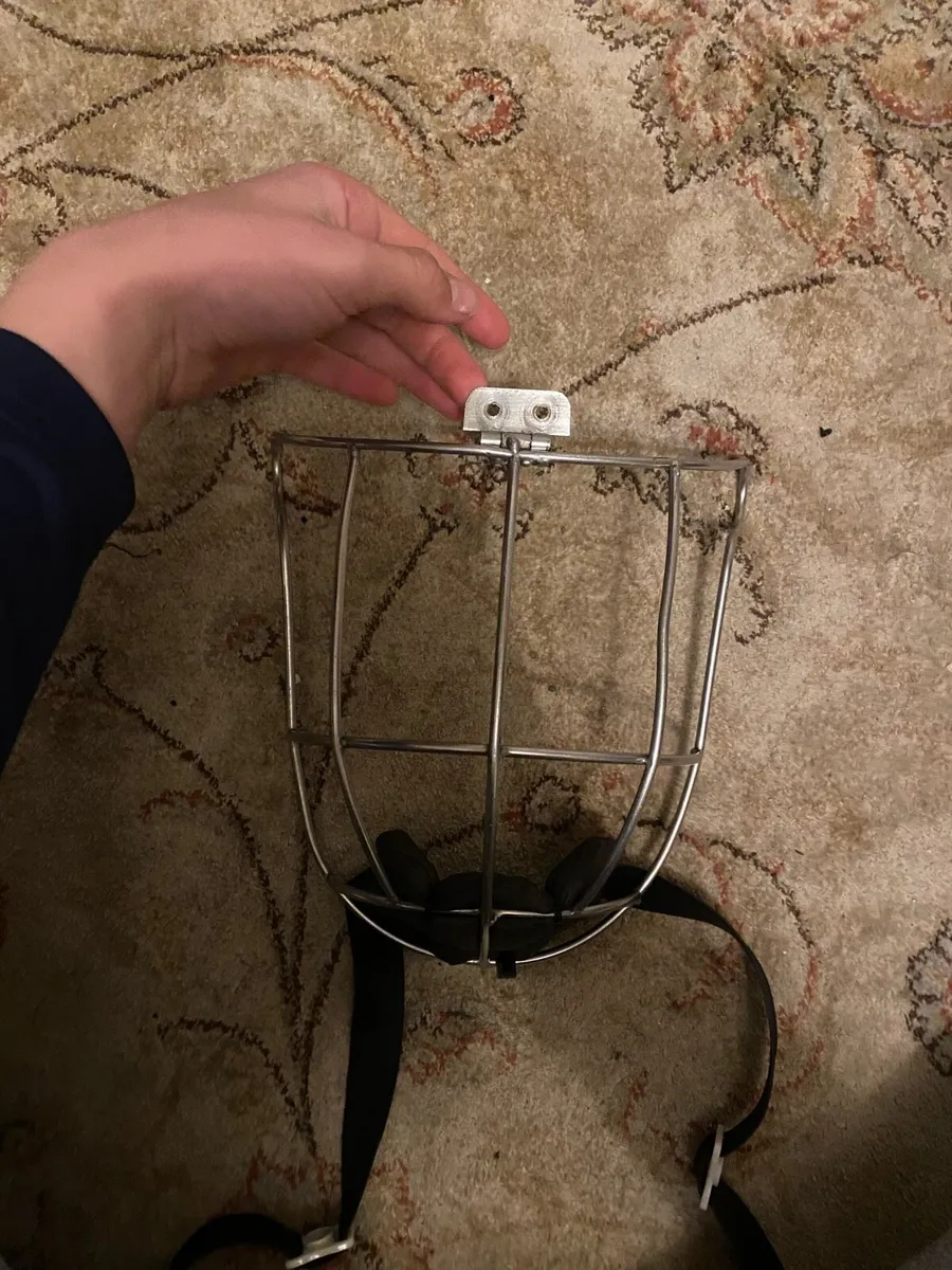 Oldstyle thurles gaurd - Image 1