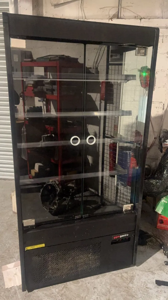 Fridge (Needs Gas) - Image 2