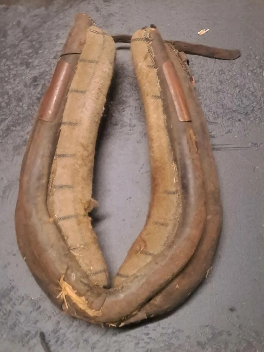 Driving harness - Image 1