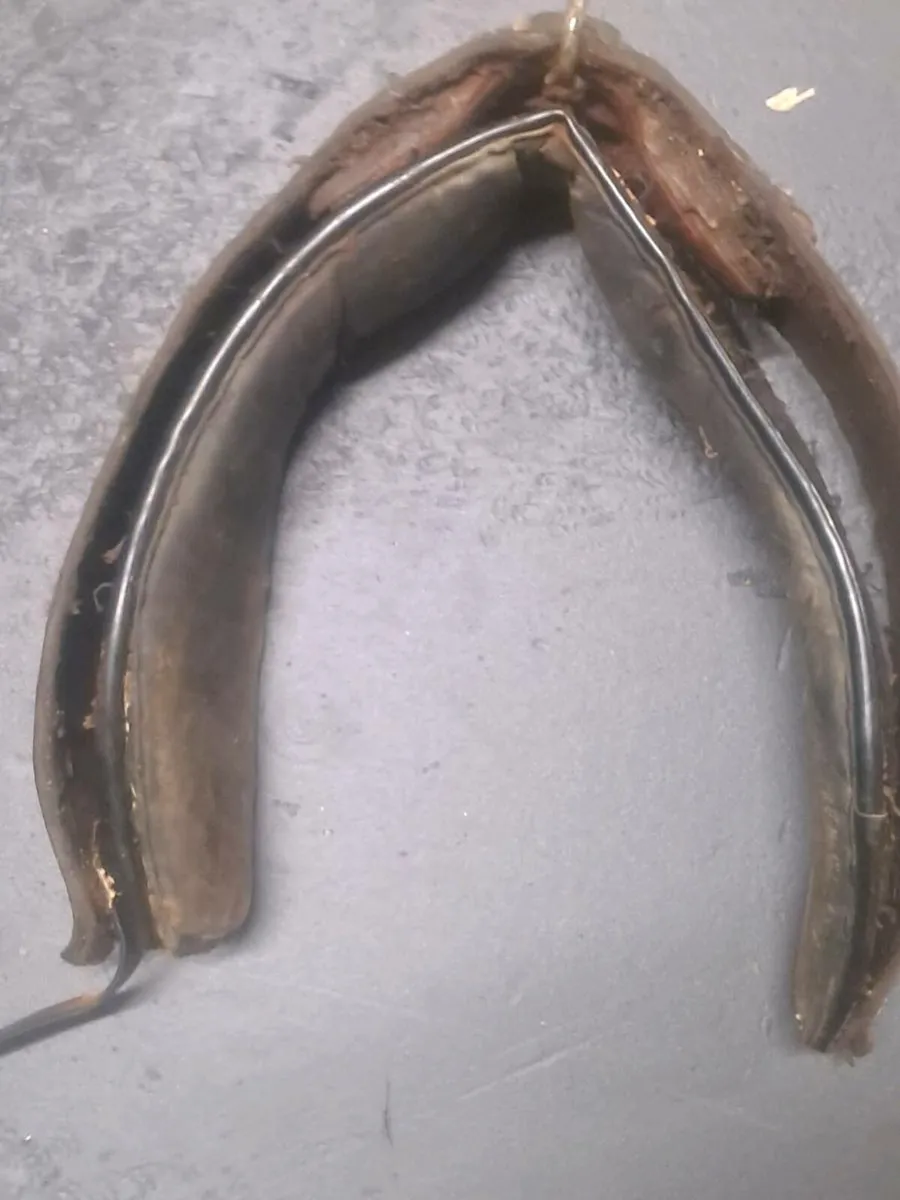 Driving harness - Image 2