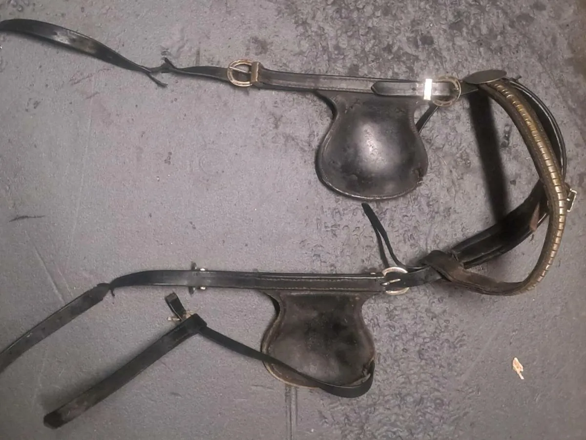 Driving harness - Image 3