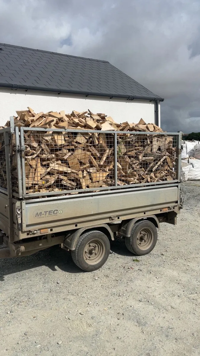 Ash kindling - Image 3