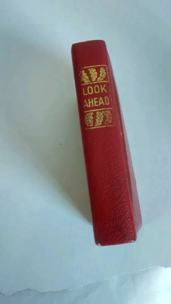 Antique metal money box - Image 2