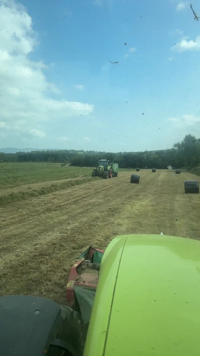 Silage bales for sale - Image 1