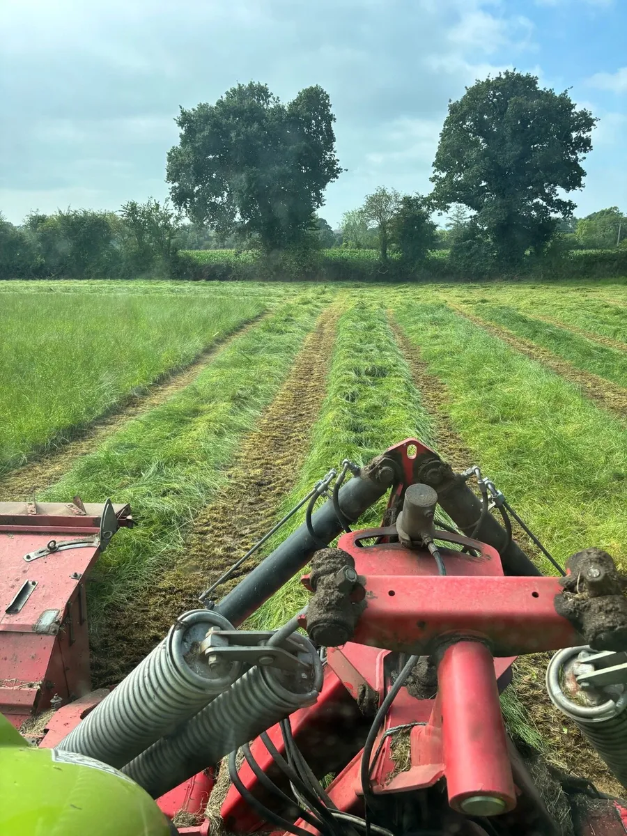 Silage bales for sale - Image 2