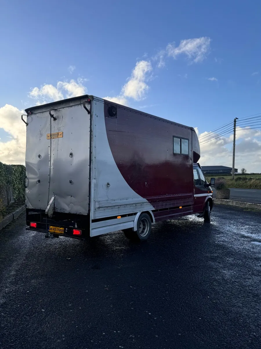 Ford Transit Horse Truck For Sale - Image 4