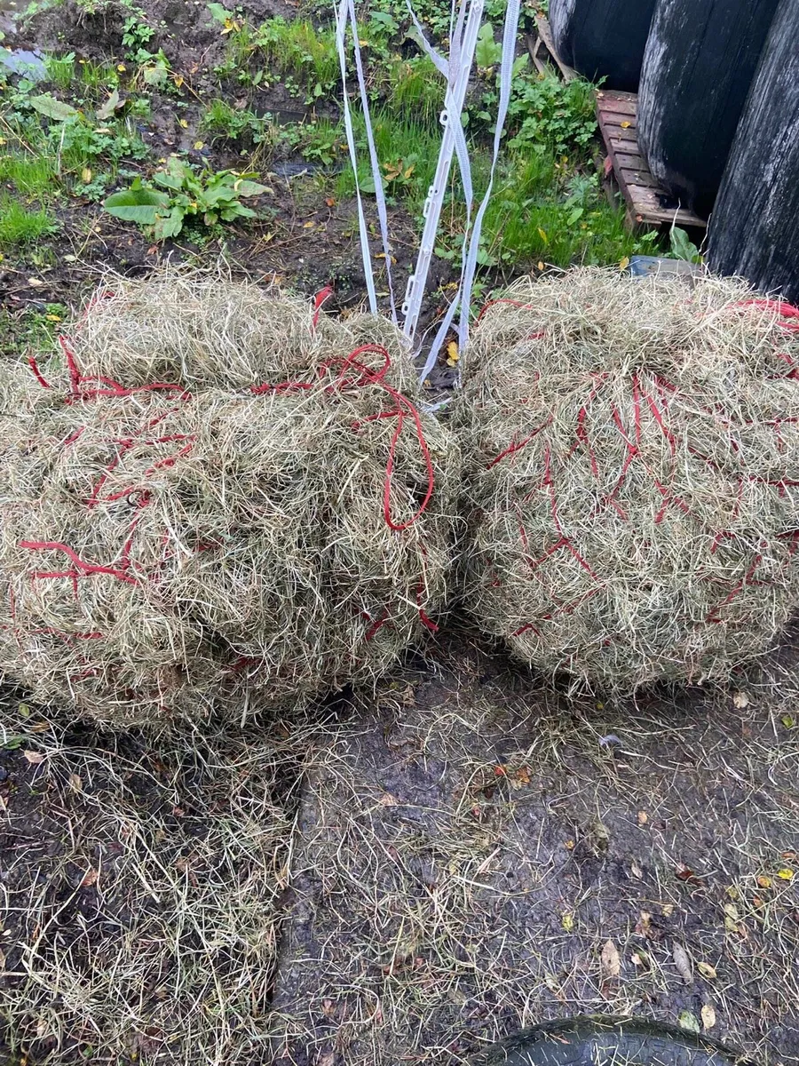 Top quality Haylage - Image 1