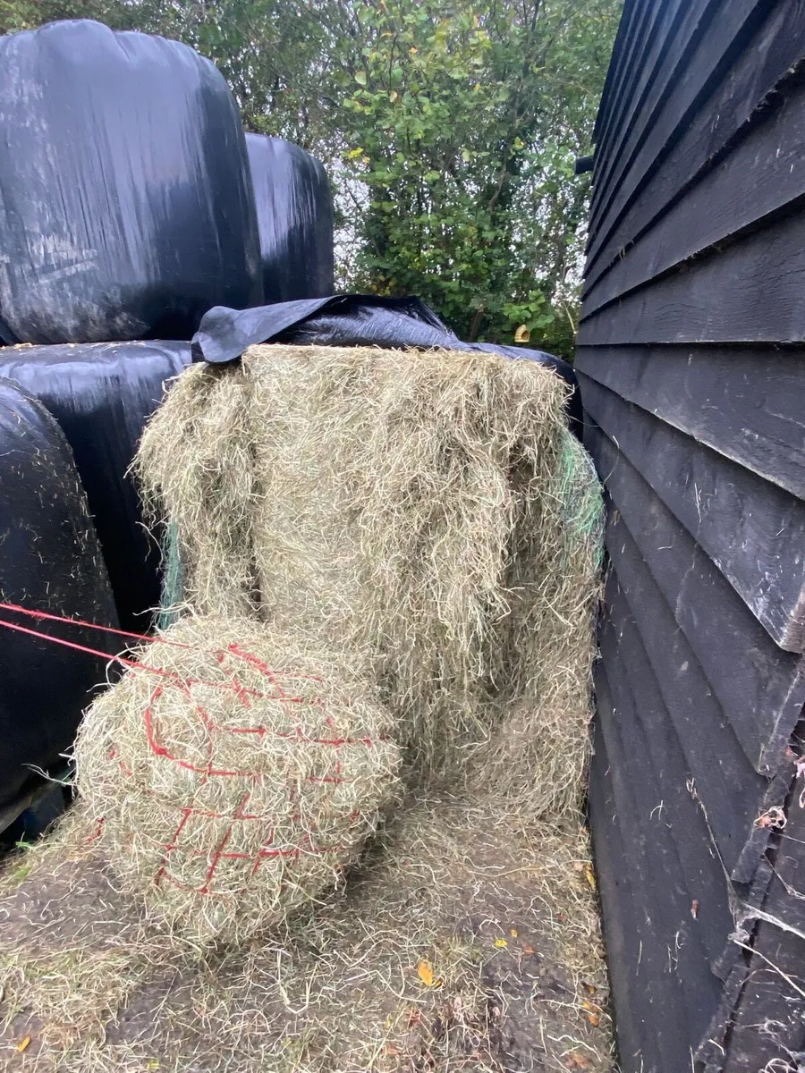 Top quality Haylage - Image 3