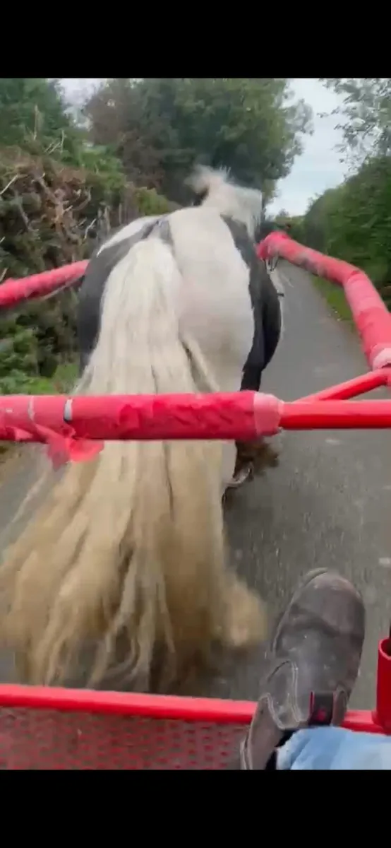 Driving cob - Image 1