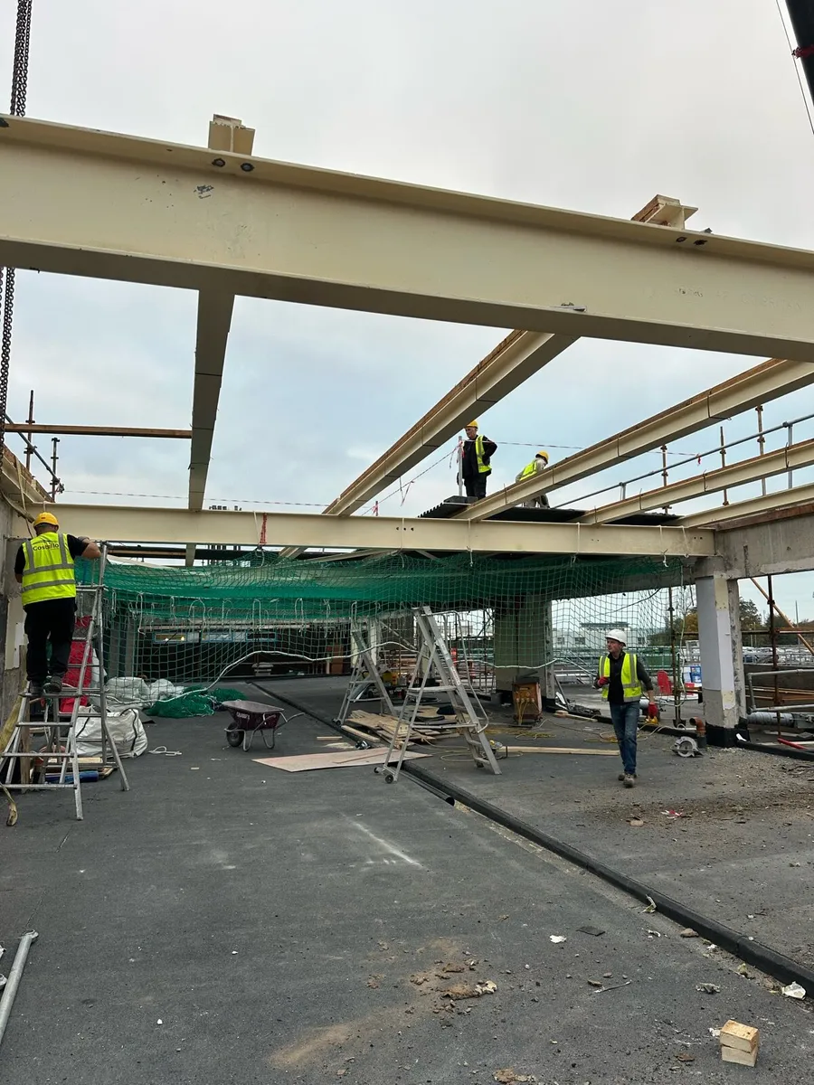 Roof and roof cladding for a shed. - Image 3