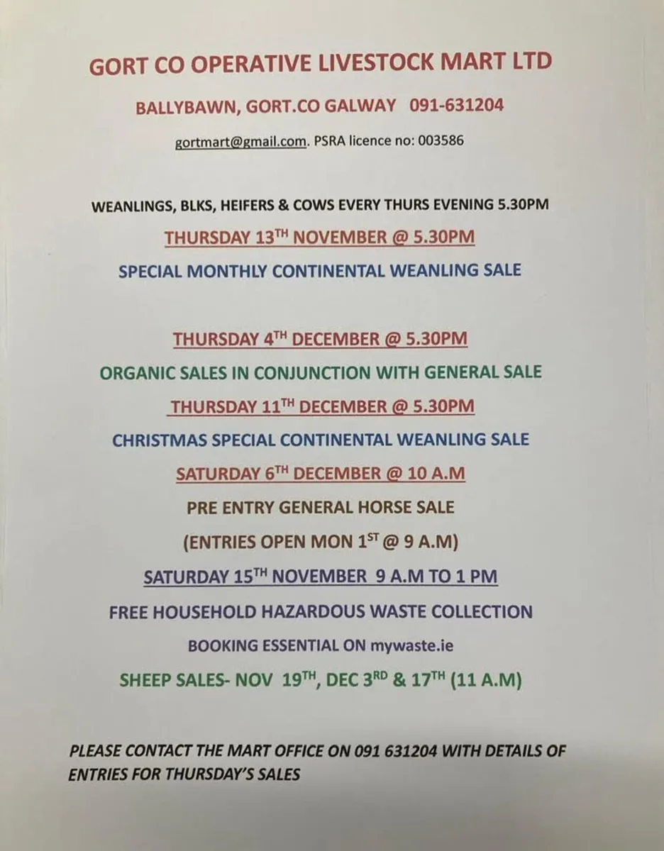 Gort Mart: Thurs 13th Nov: Entries - Image 1