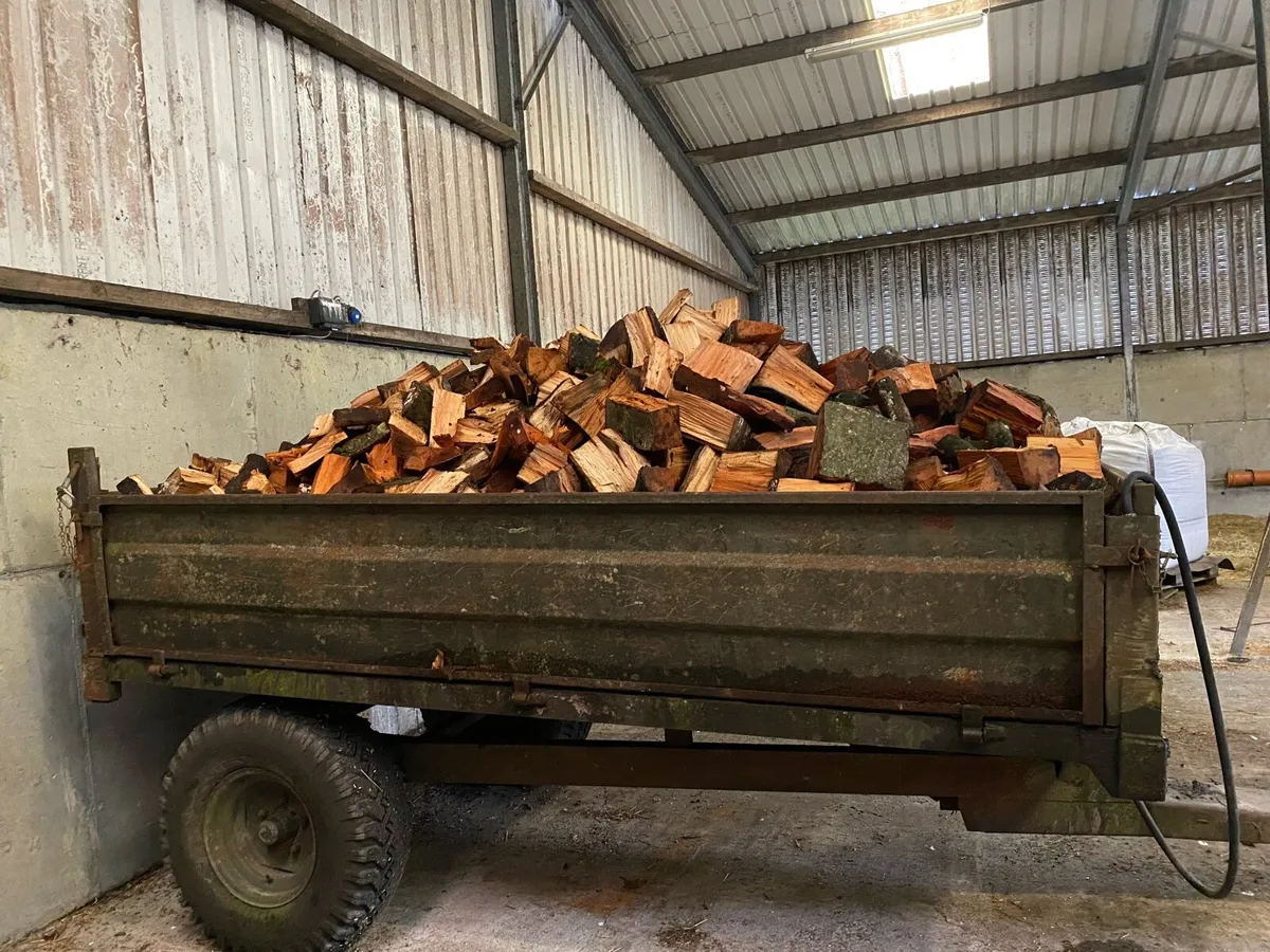 Fire wood - Image 2