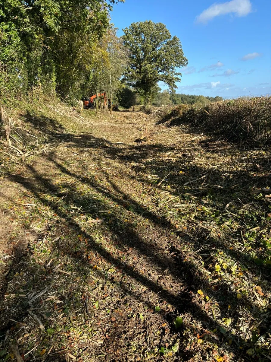 13t with Mulcher and tree shears - Image 1