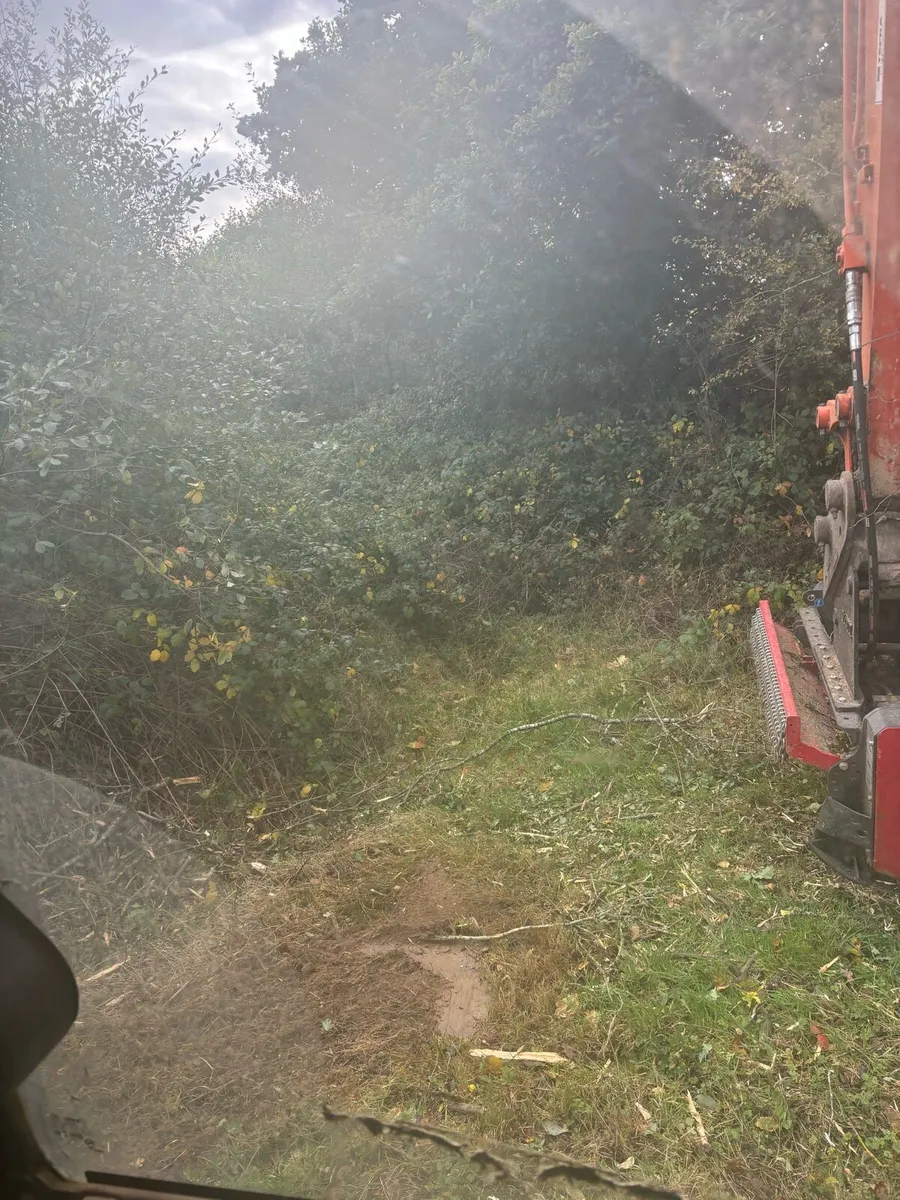 13t with Mulcher and tree shears - Image 2