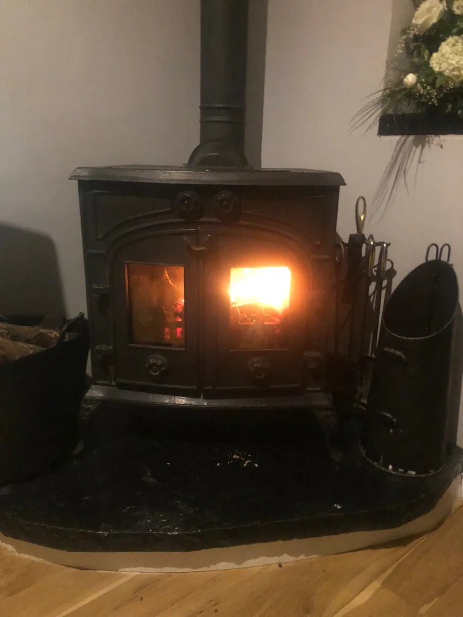 Evergreen ST1017 Cast iron stove. Non boiler. - Image 1