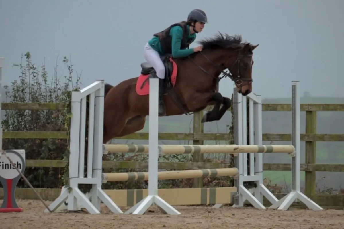 Future Top 148 Show jumping pony - Image 1