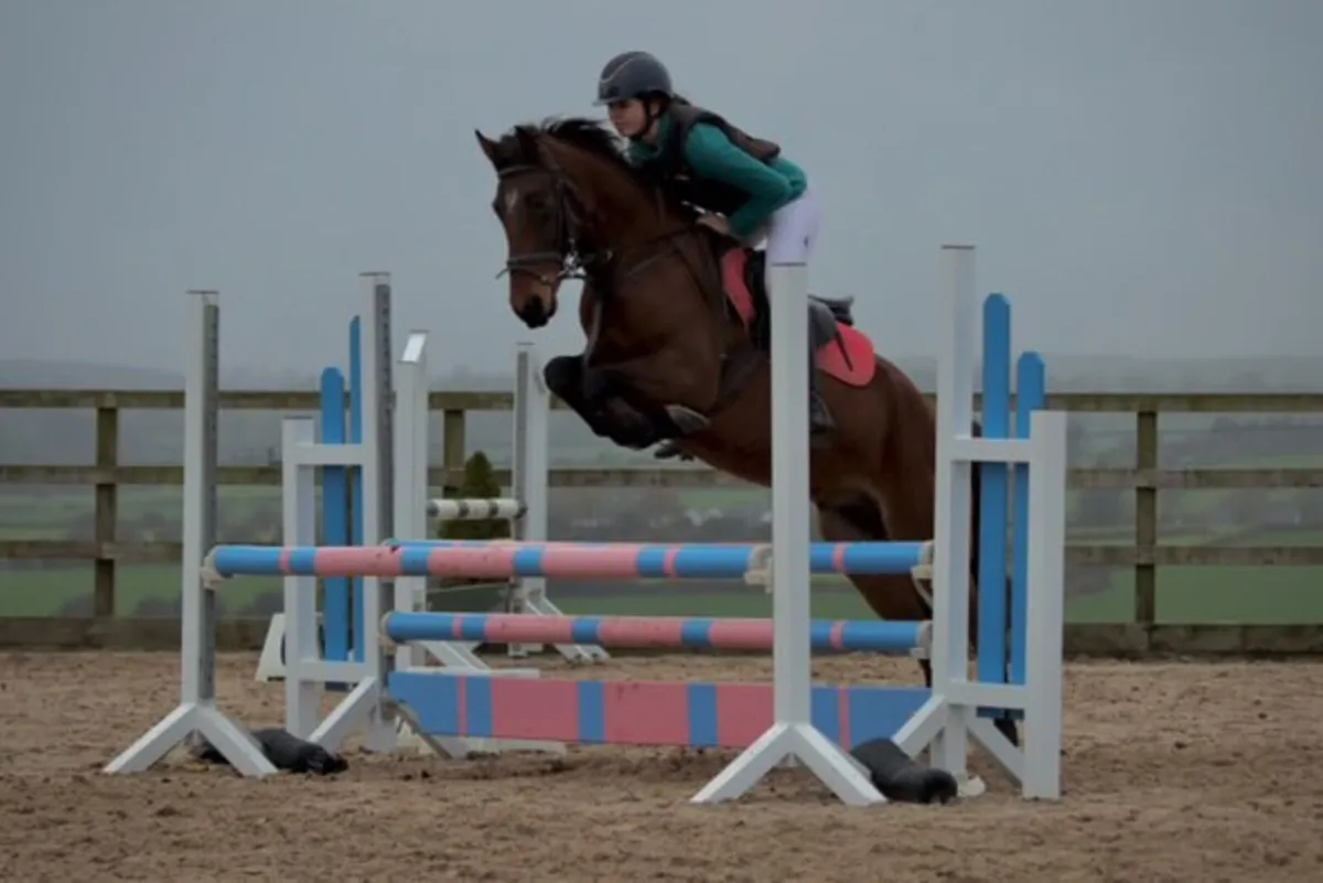 Future Top 148 Show jumping pony - Image 2