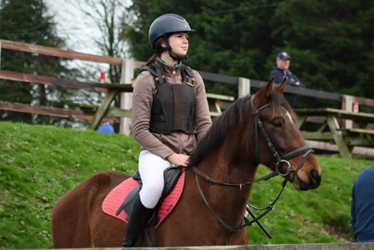 Future Top 148 Show jumping pony - Image 3
