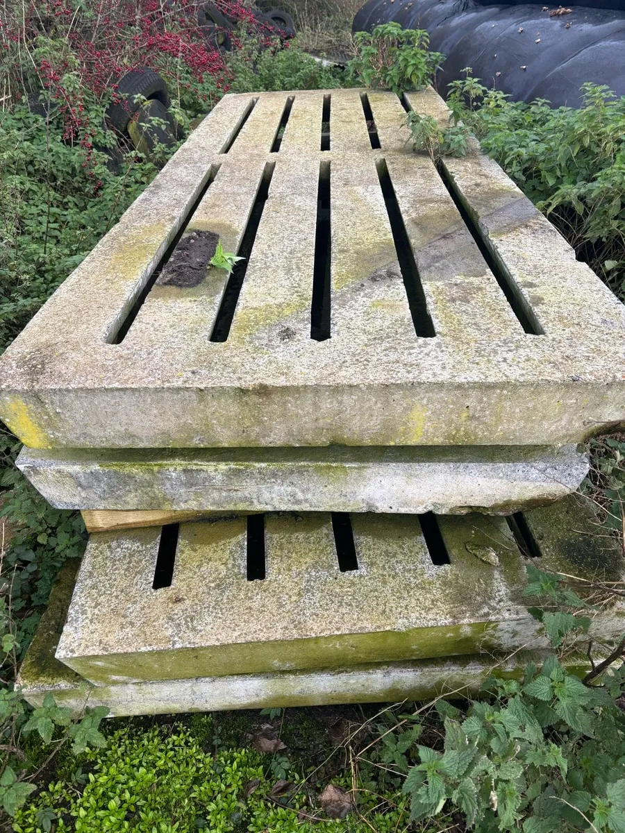 Used Cattle Slats - Image 3