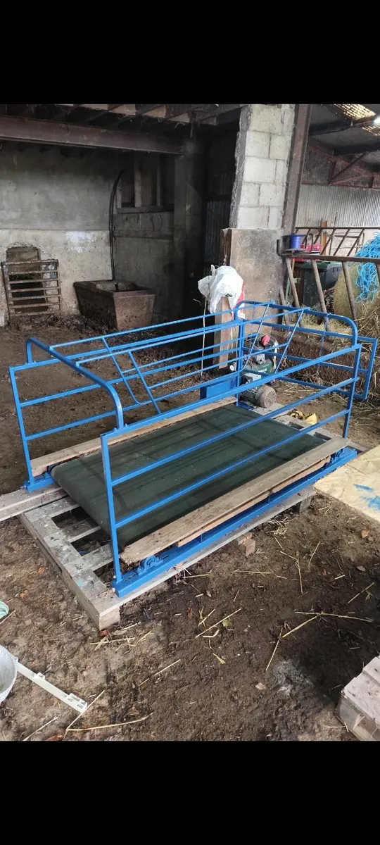 Dog Walker (3 dog) - Image 1