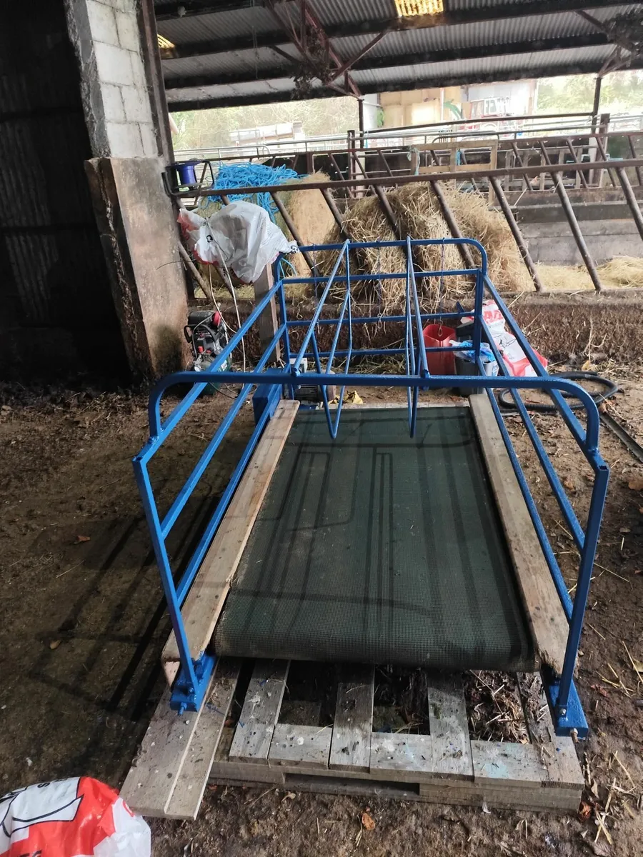 Dog Walker (3 dog) - Image 2