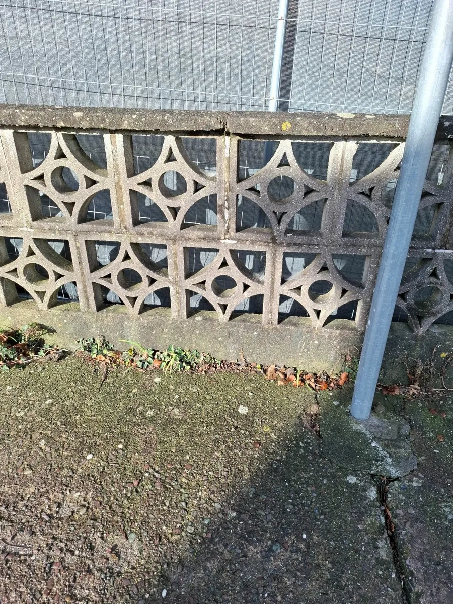 Decorative concrete blocks - Image 2