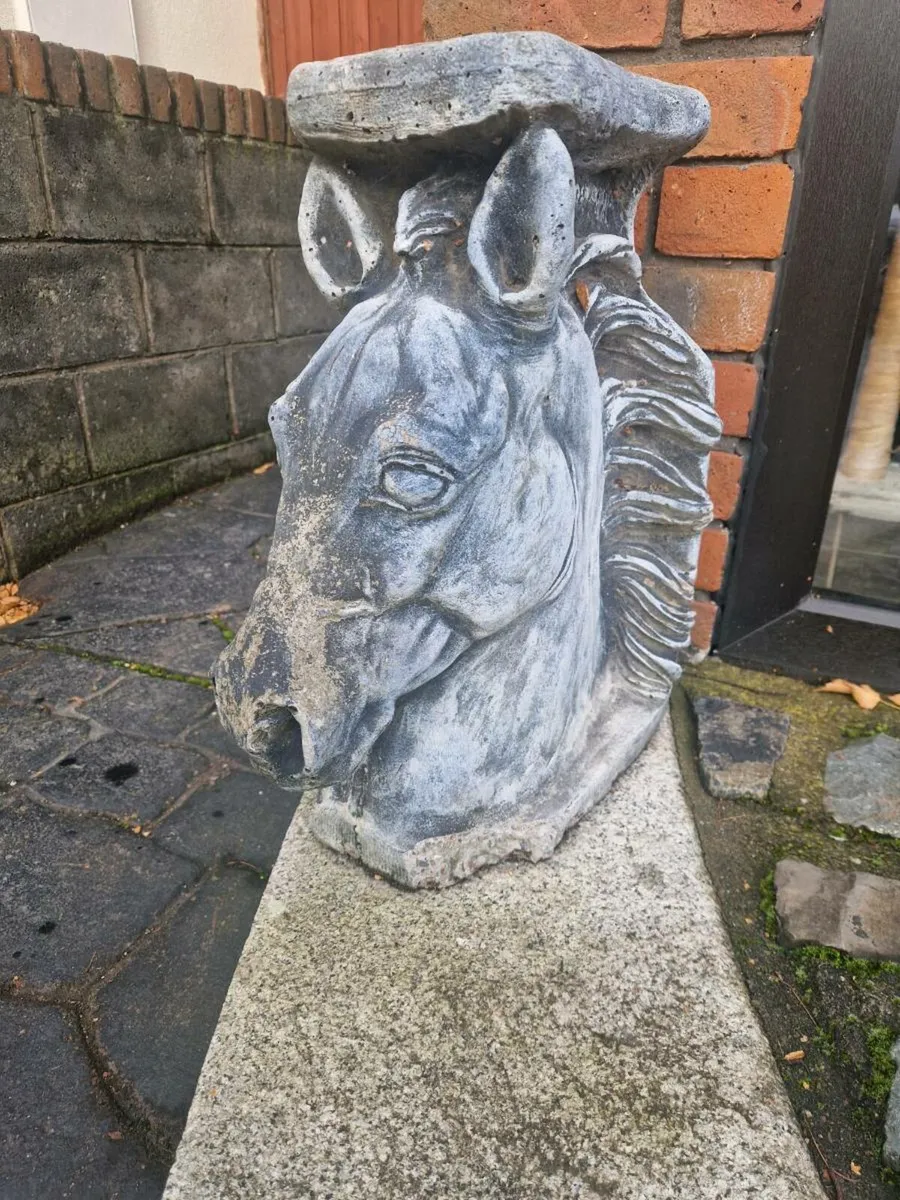 horse head pair - Image 1