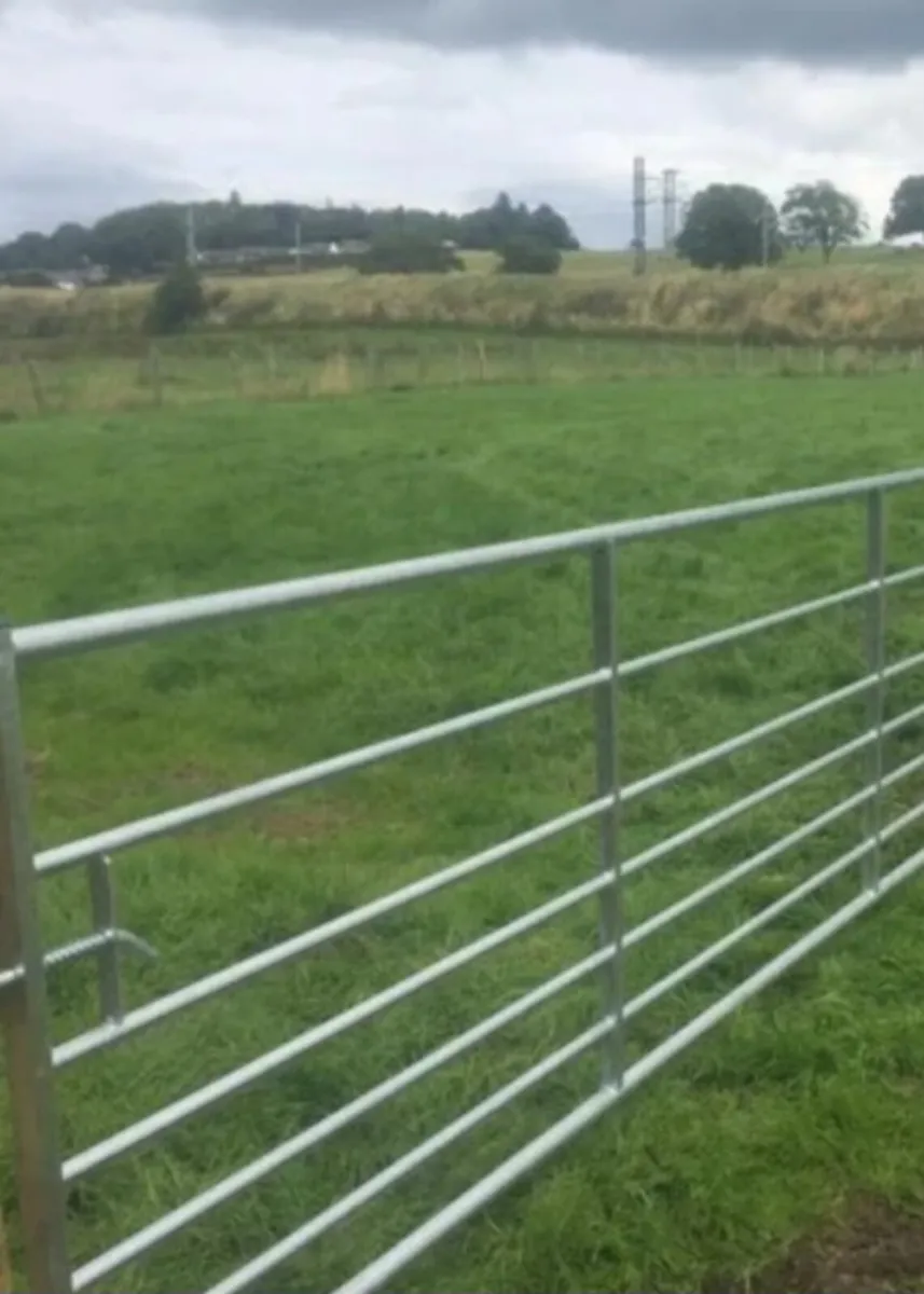 Gates size 12ft 14ft - Image 2