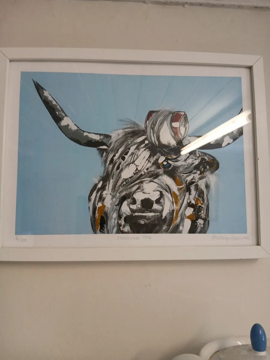 Audrey hamnlett limited edition highland cow  6/10 - Image 4