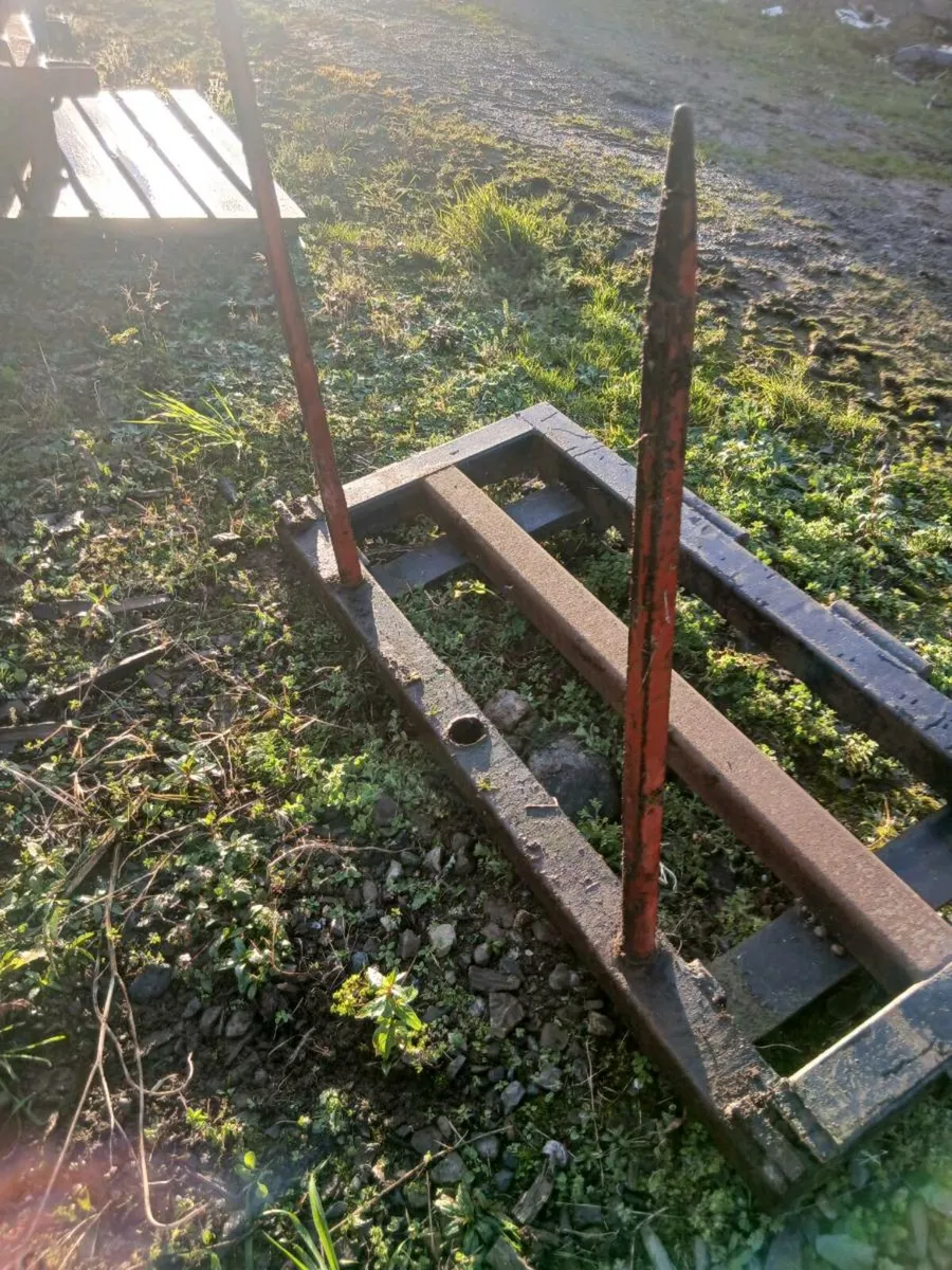 BALE SPIKE - Image 1