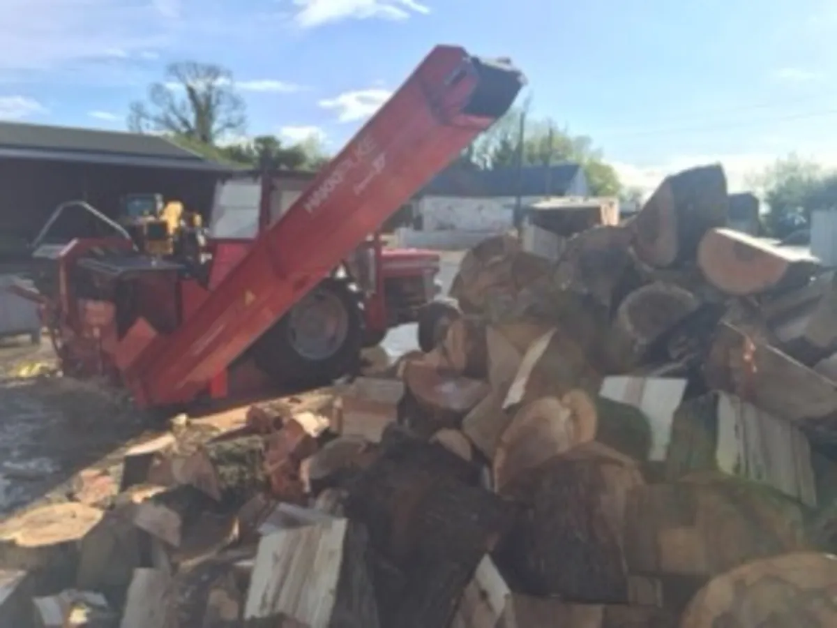 Firewood Processor - Image 3