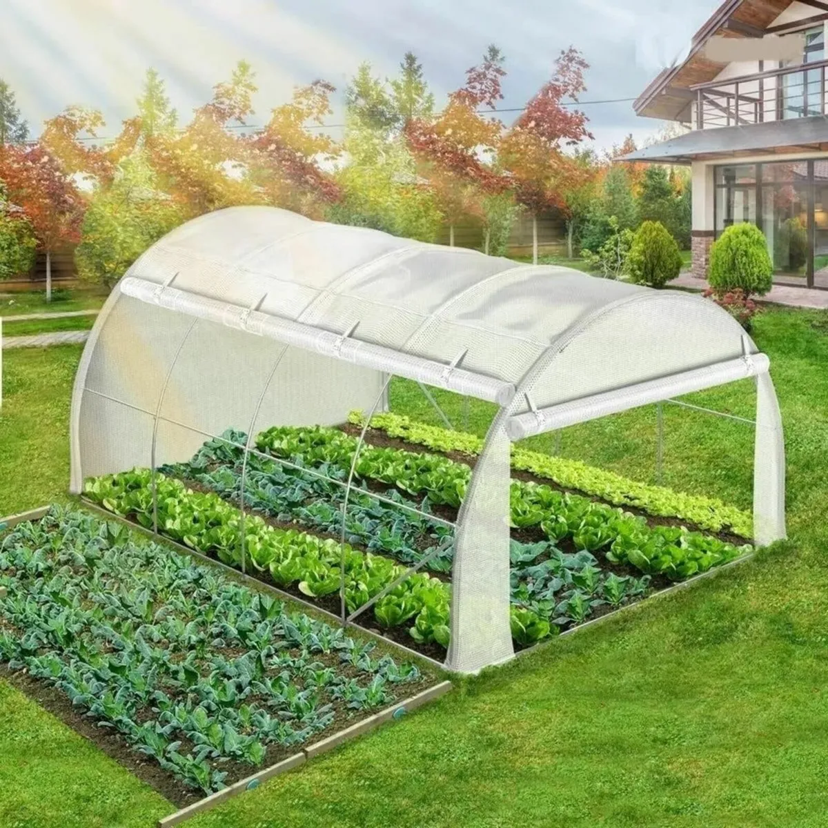 Polytunnel Greenhouse 4x3x2m 12m² Poly Tunnels - Image 2