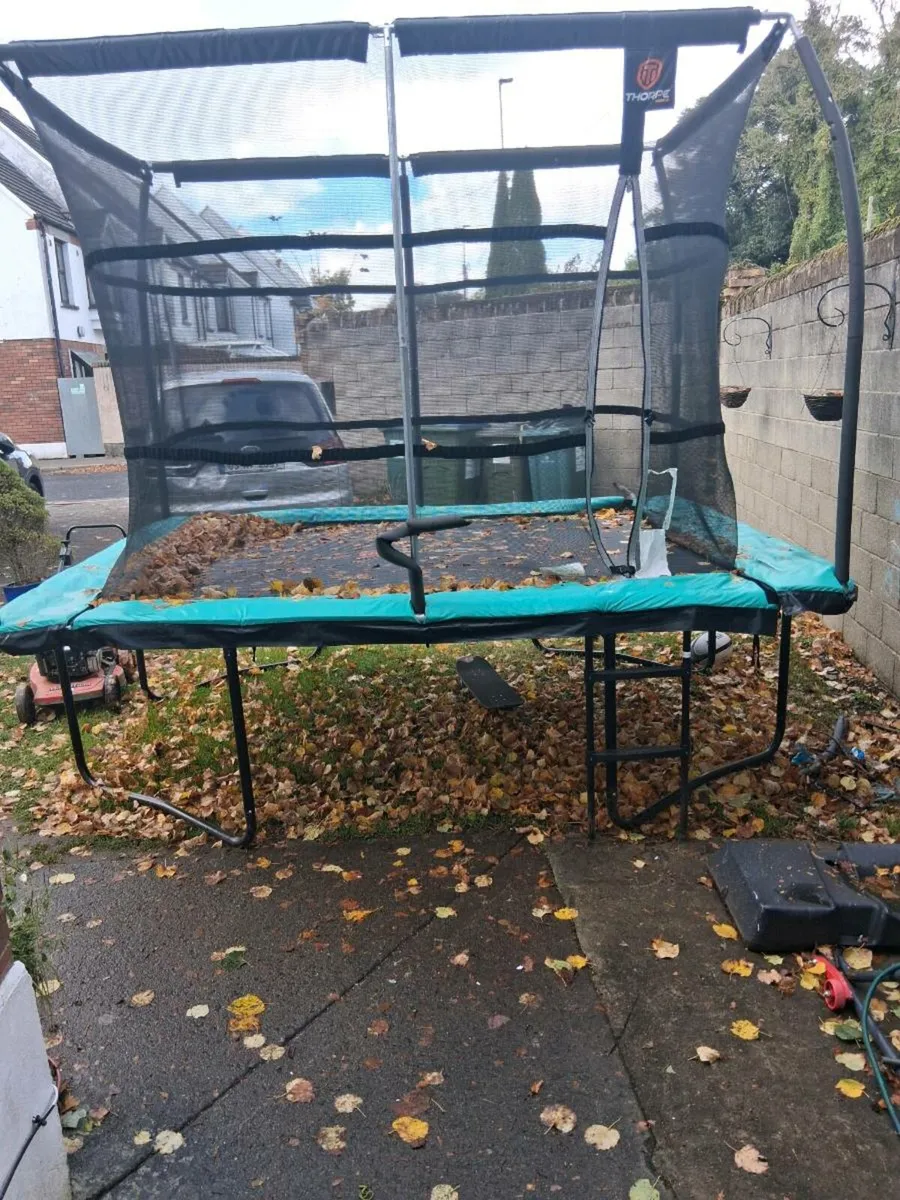 Fully enclosed trampoline with ladder - Image 2
