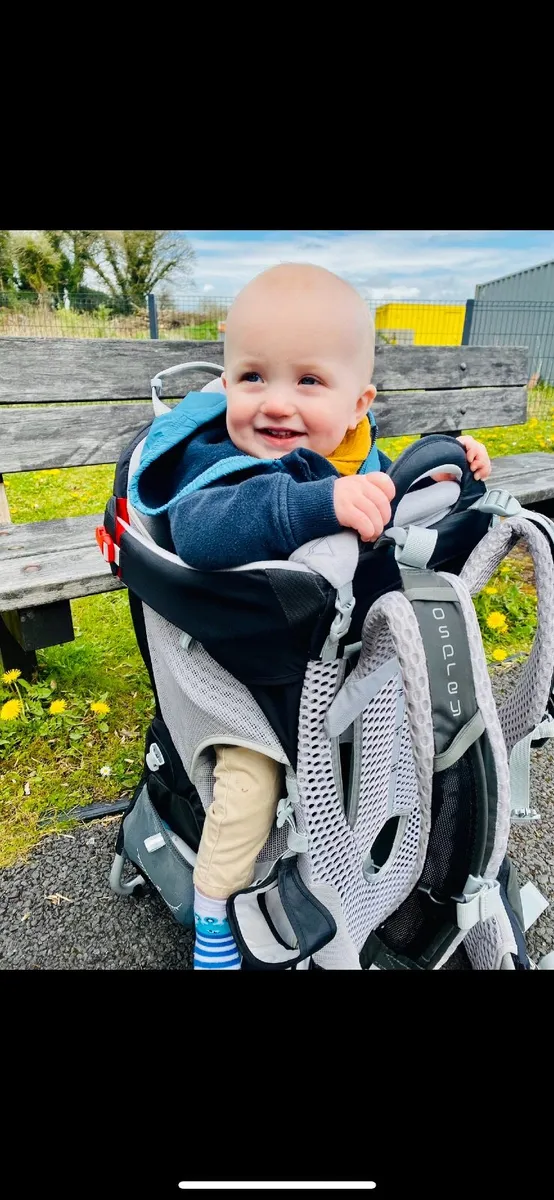 Osprey hiking carrier