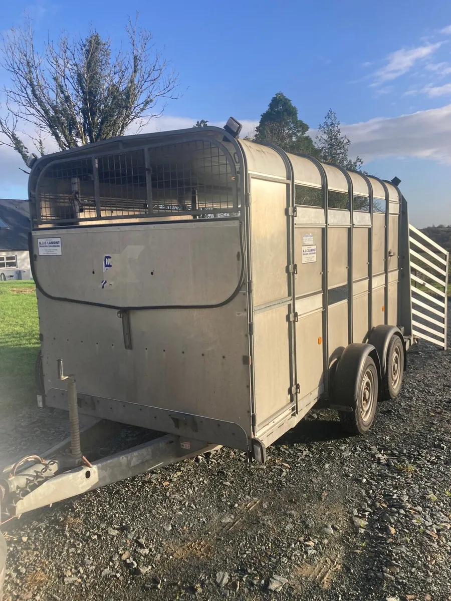 Ifor Williams 12x6 - Image 2