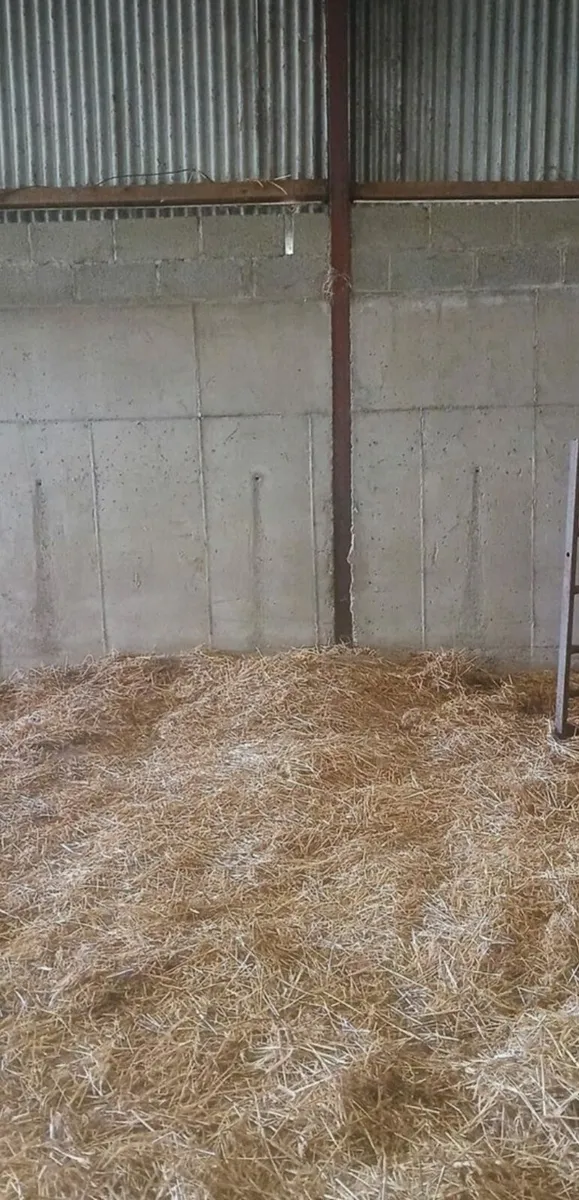 Loose shed available for horses for winter
