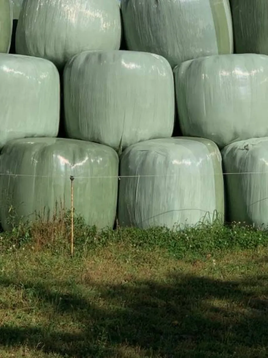 Silage, haylege and hay