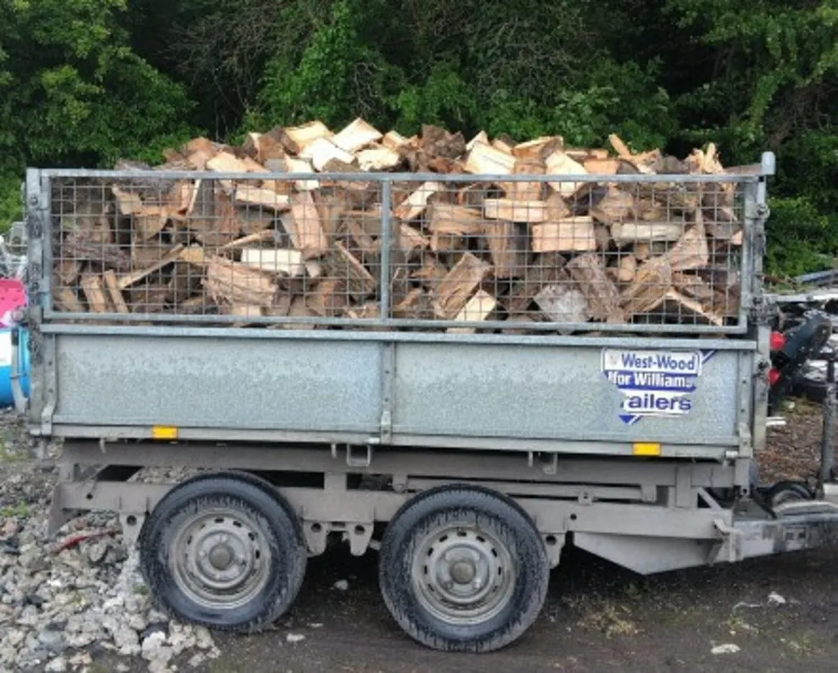 Ash. Fire. Wood - Image 2