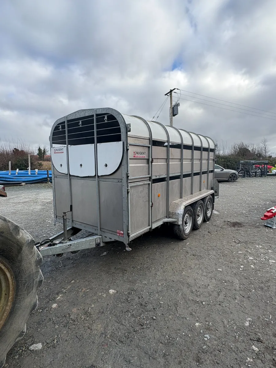 Nugent Cattle Trailer 14x6 - Image 1