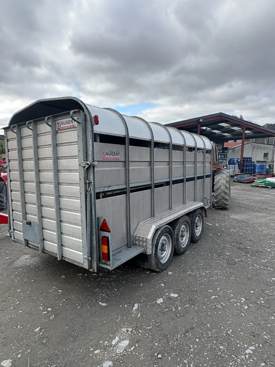 Nugent Cattle Trailer 14x6 - Image 4