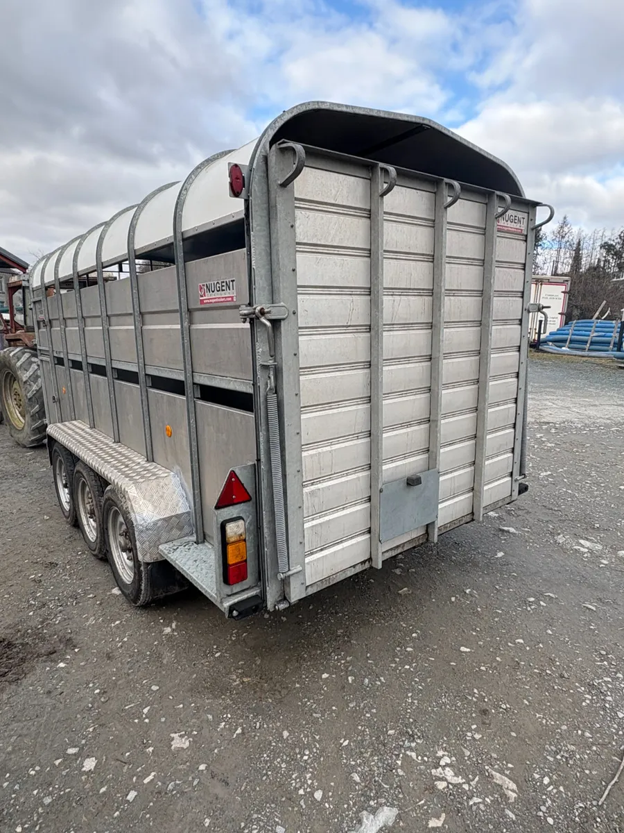Nugent Cattle Trailer 14x6 - Image 3