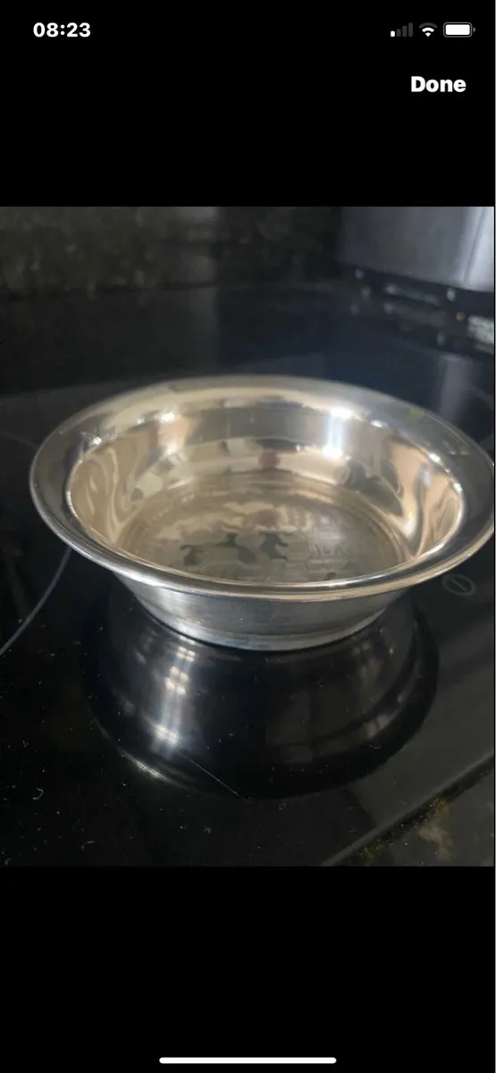 Silver Plated Wine Bottle coaster - Image 3