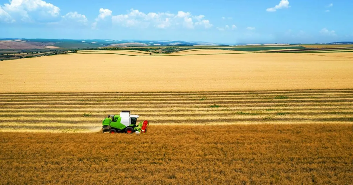 Stop Overspending On Fertiliser - Image 1