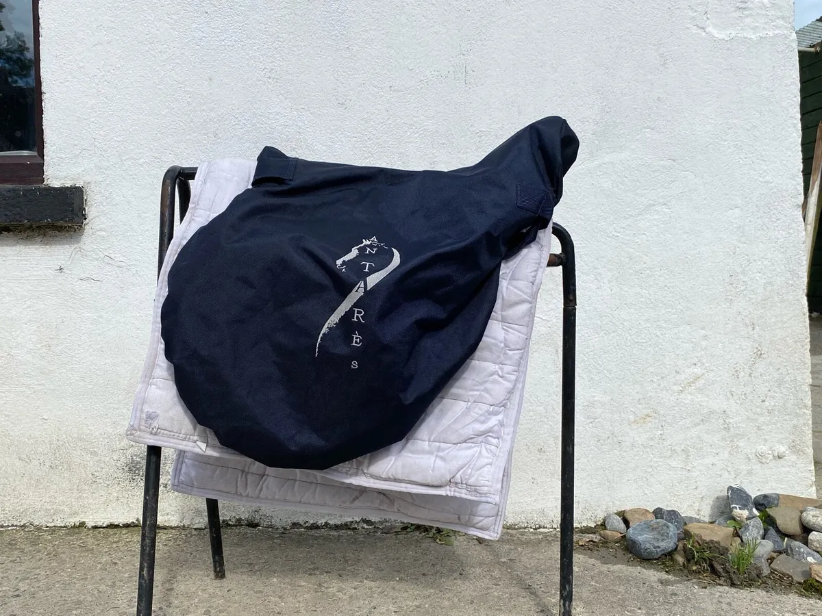 Brown Antares jumping saddle for sale - Image 2