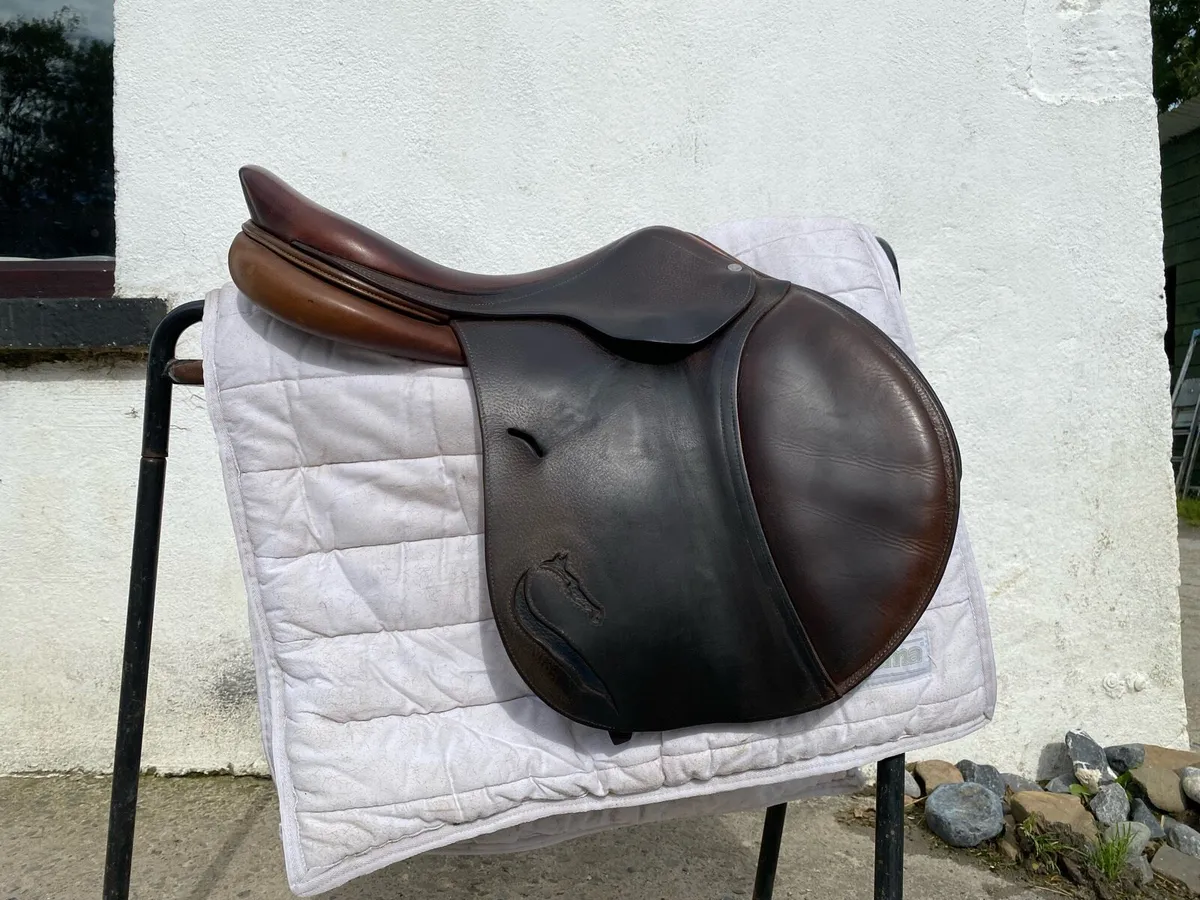 Brown Antares jumping saddle for sale - Image 3