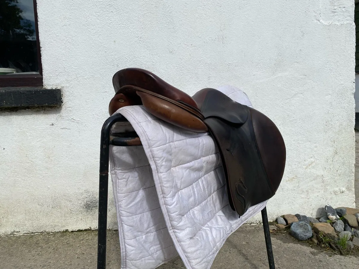 Brown Antares jumping saddle for sale - Image 4