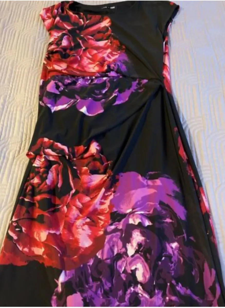 Stunning Debenhams The Collection dress Size 12 - Image 2