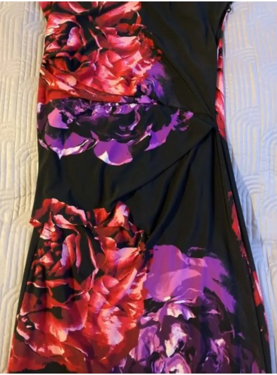 Stunning Debenhams The Collection dress Size 12 - Image 3