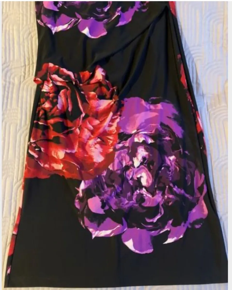 Stunning Debenhams The Collection dress Size 12 - Image 4