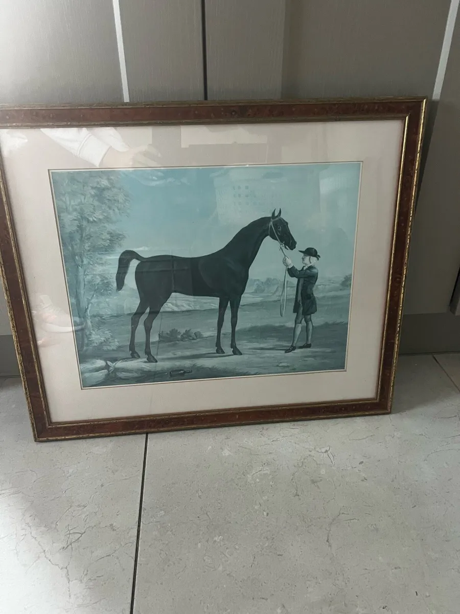 Vintage Framed Equestrian Print - Image 1
